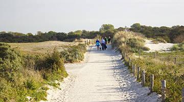 Pad naar de duinen van Renesse